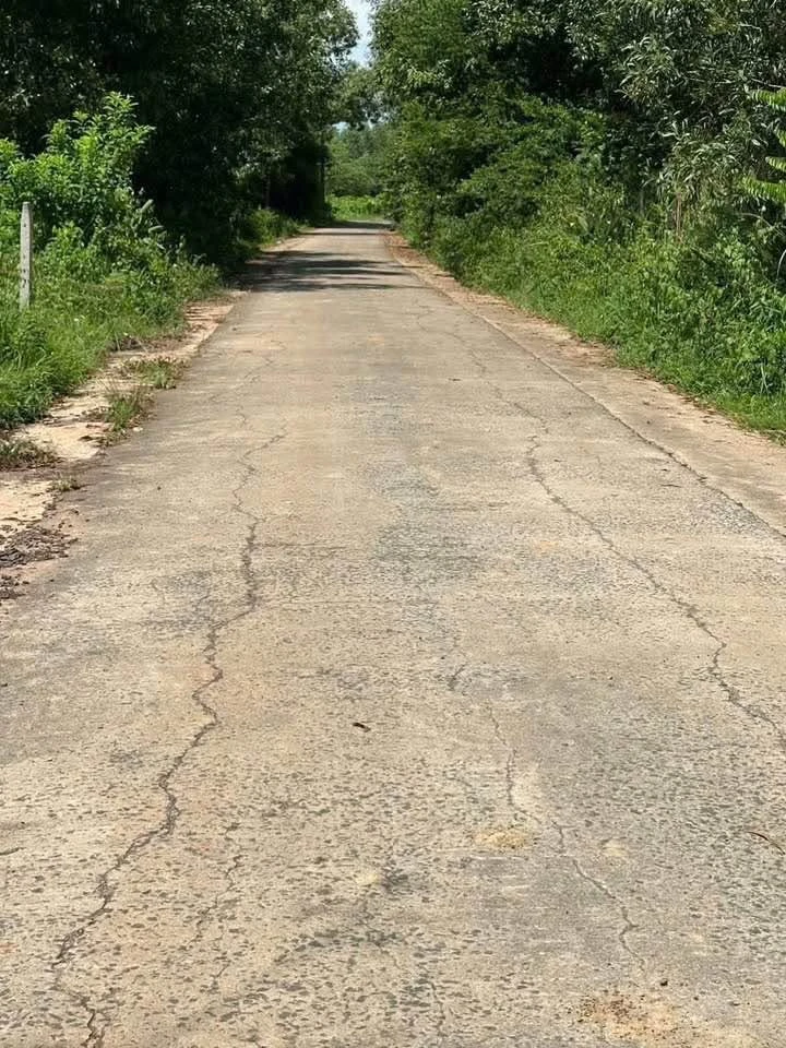 Bán đất Xuân Thọ 5×38m (190m²), 690 triệu, sổ riêng - Ảnh thu nhỏ 5