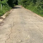 Bán đất Xuân Thọ 5×38m (190m²), 690 triệu, sổ riêng - Ảnh thu nhỏ 5
