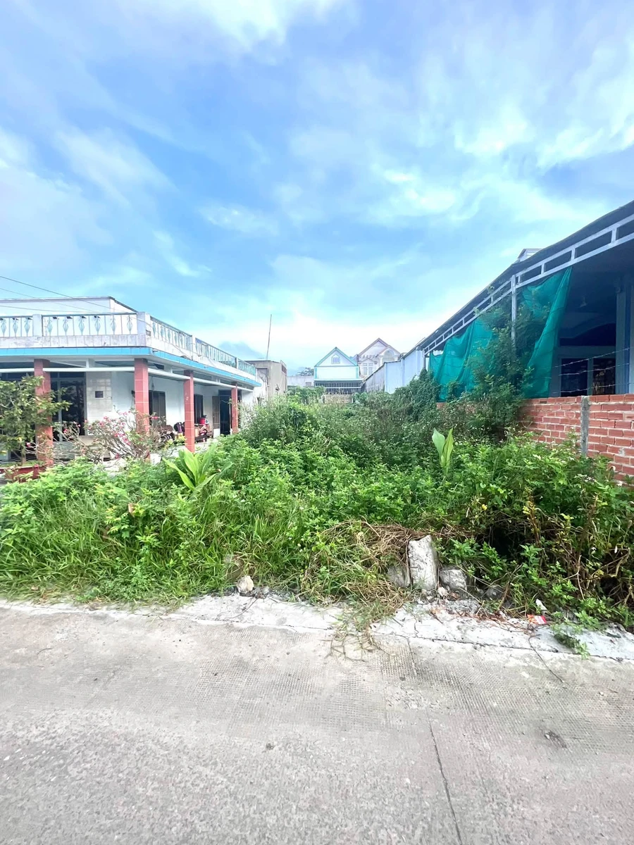 Bán đất 196m² mặt tiền Ba Ngừa, Đức Hoà, Tây Ninh - Ảnh thu nhỏ 2