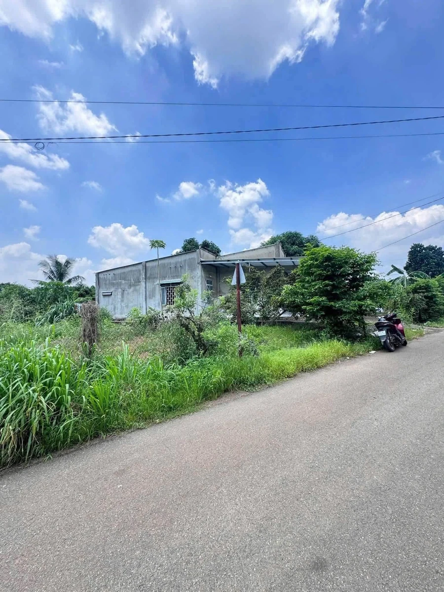 Bán nhà vườn 1.618m² Hưng Thịnh, Trảng Bom, Đồng Nai - Ảnh thu nhỏ 3