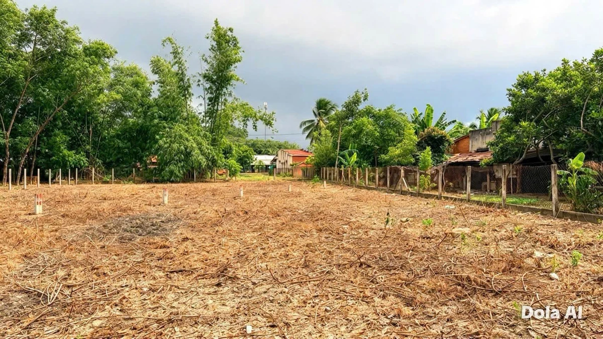 Bán lô đất 50m2 Thị trấn Dương Minh Châu, Tây Ninh - Ảnh 1