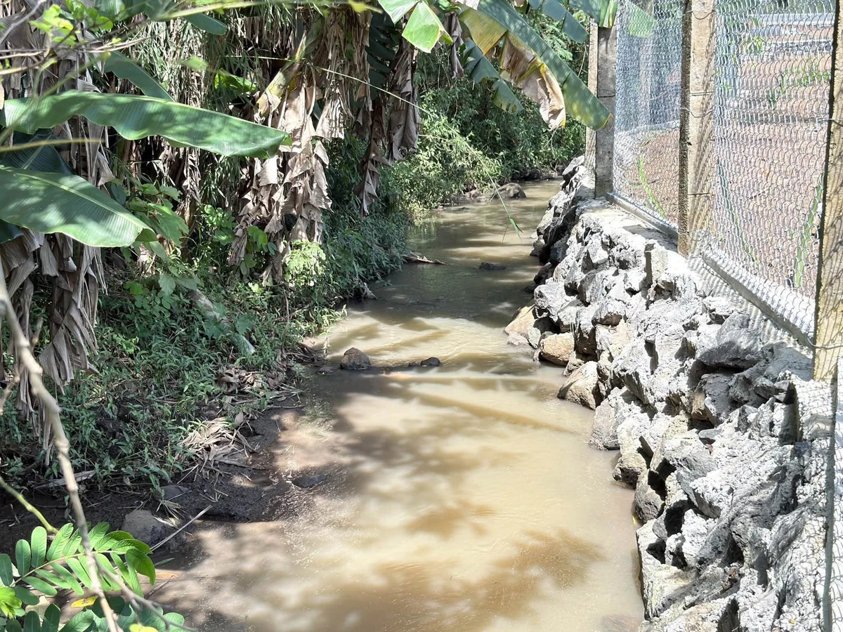 Bán 2,5 sào đất view Bà Rịa - Vũng Tàu 1 tỷ 90 - Ảnh thu nhỏ 4