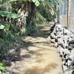 Bán 2,5 sào đất view Bà Rịa - Vũng Tàu 1 tỷ 90 - Ảnh thu nhỏ 4