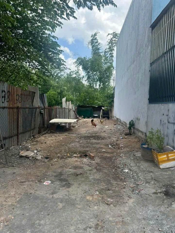 Bán đất SHR 60m² Hố Lang Tân Đông Hiệp 2 tỷ 380 triệu