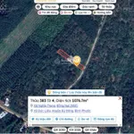 Bán gấp lô đất 1.076,7m², ngang 12m dài 90m quy hoạch khu dân cư, giá 450 triệu - Ảnh thu nhỏ 7