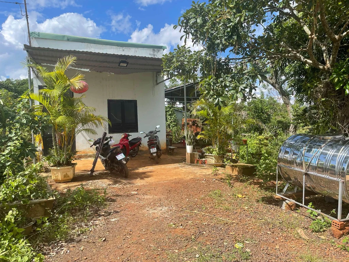 Bán đất 100m² Chợ 312, Đắk Rla, Đắk Nông 350 triệu - Ảnh thu nhỏ 2