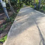 Bán đất Quới Điền Thạnh Phú 1008m2 mặt tiền 3.5m - Ảnh thu nhỏ 2