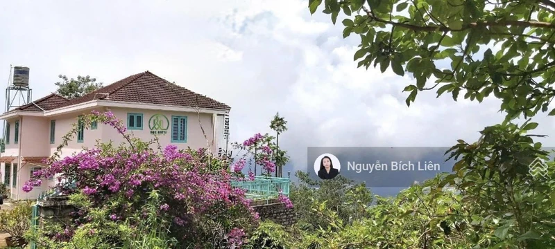 Chính chủ bán biệt thự cổ 2692m2 view săn mây siêu siêu đẹp tại Trạm Hành - Đà Lạt