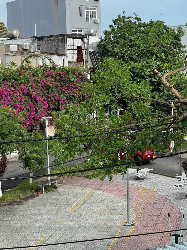 Bán đất tặng nhà Mỹ Khê Đà Nẵng 96m² 3 phòng ngủ