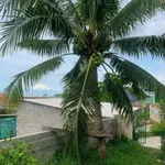 Bán đất 278m2 view biển Mũi Né, Phan Thiết 2.5 tỷ - Ảnh thu nhỏ 3