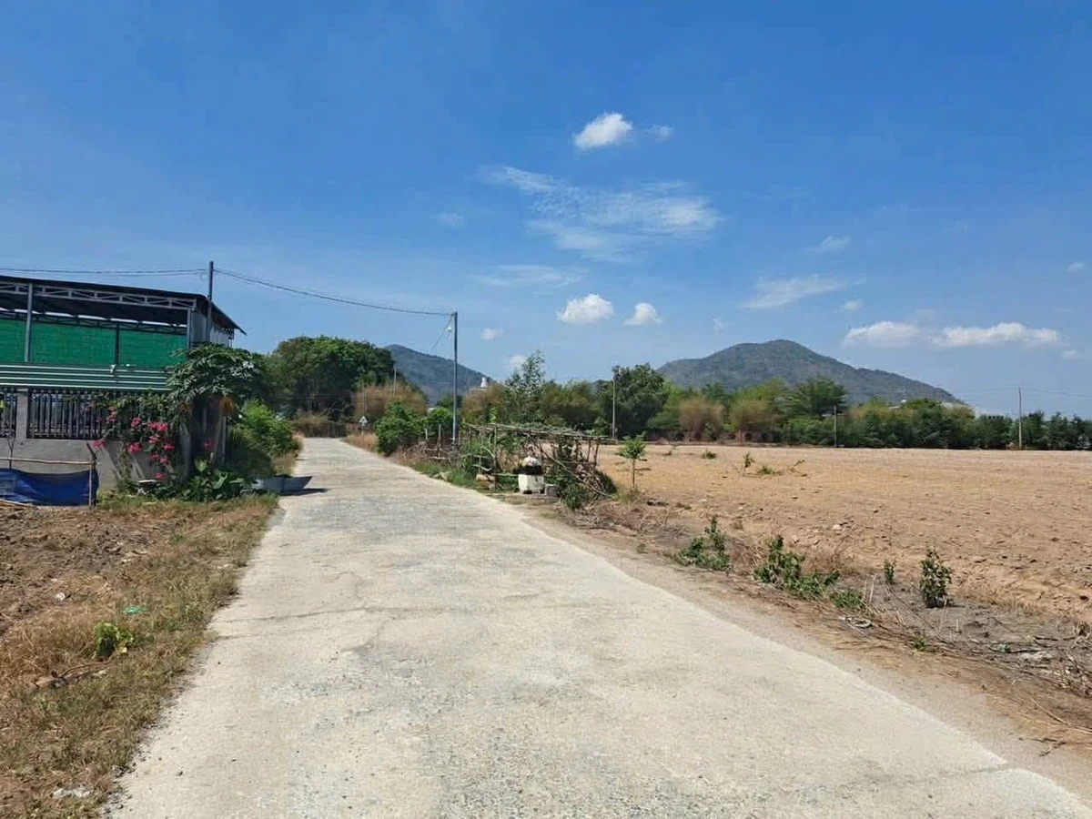 Bán lô đất 5x34x60 Bê Tông Hồng Phúc Tóc Tiên 950 triệu - Ảnh thu nhỏ 3