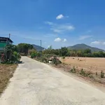 Bán lô đất 5x34x60 Bê Tông Hồng Phúc Tóc Tiên 950 triệu - Ảnh thu nhỏ 3