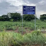 Bán đất mặt tiền đường D3 135,1m2 thổ cư, xã Đồng Phú, Đồng Nai - Ảnh thu nhỏ 3
