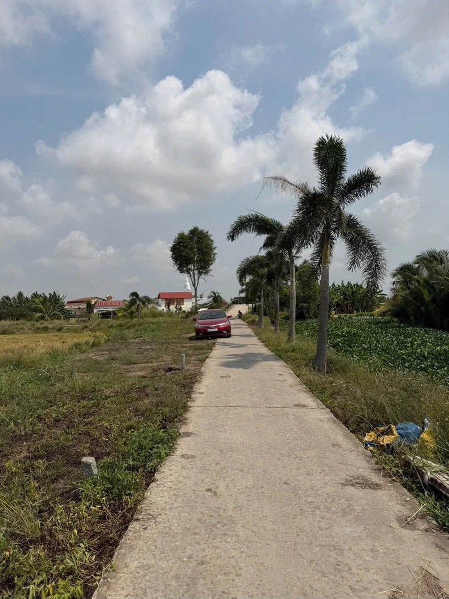 Bán 3 nền đất 625m2 Kênh Phán Xuyên Rạch Giá - Ảnh thu nhỏ 3