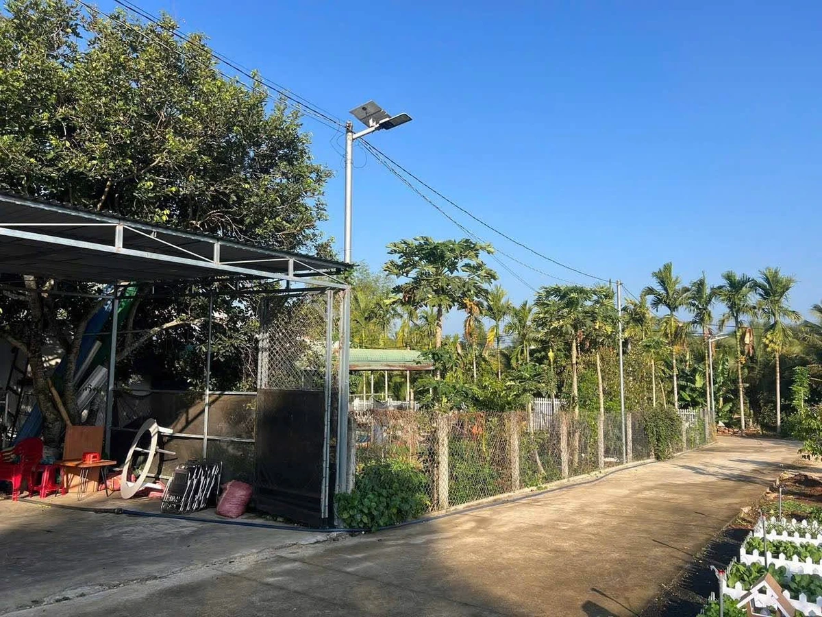 Đất bán 10x29m góc 2 mặt tiền Phường Thành Nhất Hóc Môn - Ảnh thu nhỏ 3