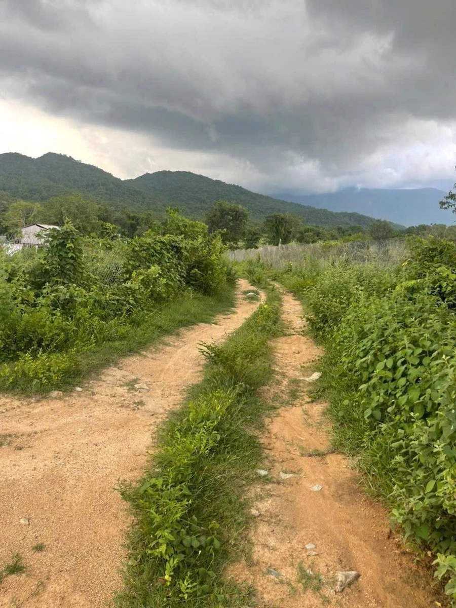 Bán 4 sào 3 đất cây trồng 2 mặt tiền đường ô tô tại Thuận Hòa, Bình Thuận - Ảnh 1