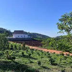 Bán đất 5.919m² mặt tiền 59m view đồi núi ven Đà Lạt, 8 tỷ - Ảnh thu nhỏ 2