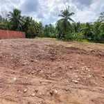 Bán đất Mỹ Thạnh An, Bến Tre 377m² giá 550 triệu - Ảnh thu nhỏ 2