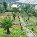 Bán nhà đất khu nghỉ dưỡng kết hợp kinh doanh - Ảnh thu nhỏ 32