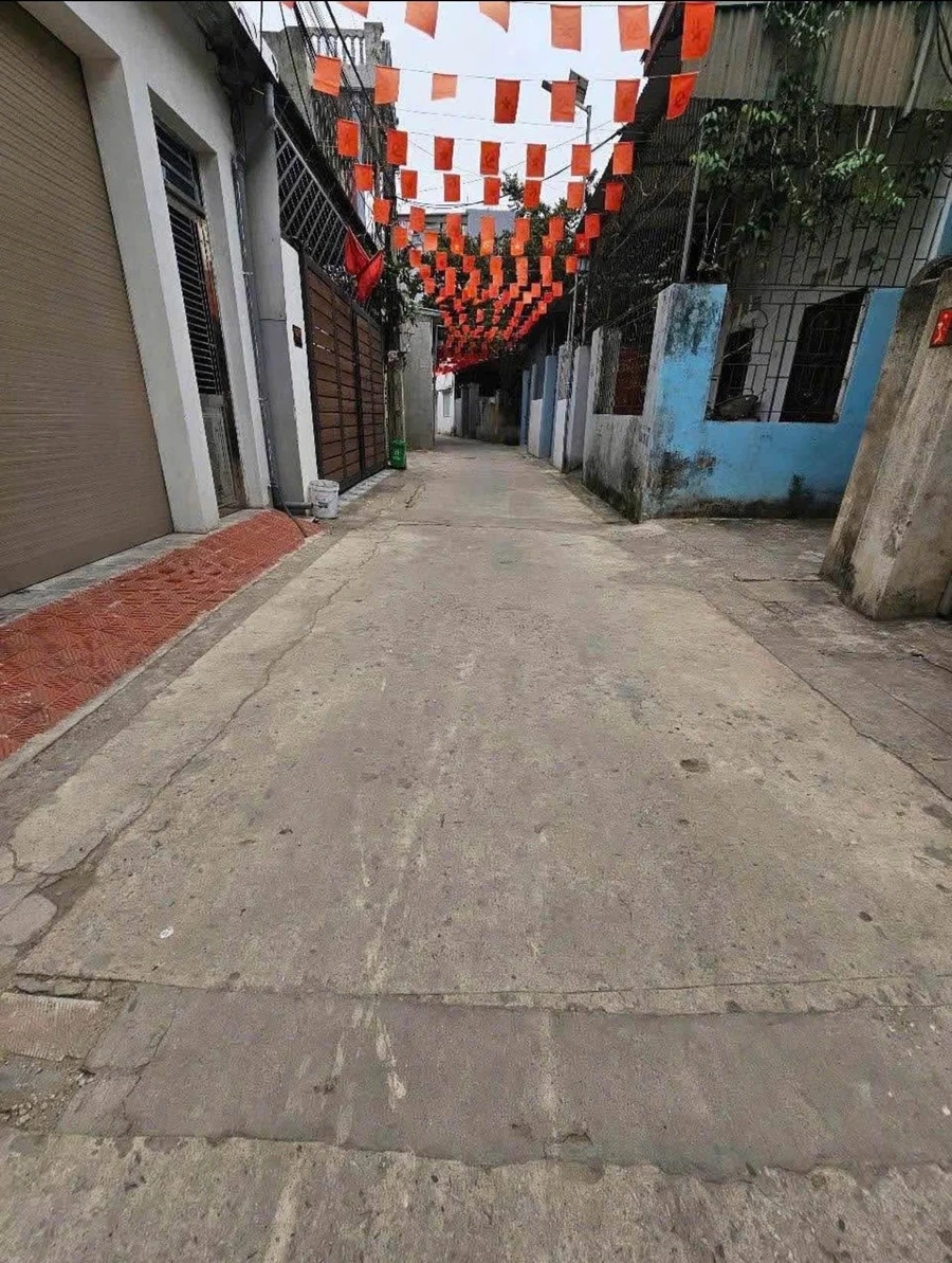 Bán đất tặng nhà 1,5 tầng 115m² Lê Lai Quận 1 - Ảnh thu nhỏ 3