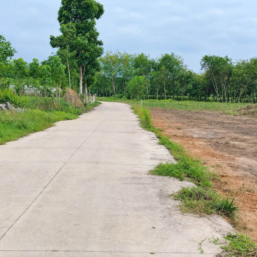 Bán đất thổ cư 110m2 (5x22) Chánh Phú Hòa, Bến Cát, giá 1,15 tỷ - Ảnh thu nhỏ 4
