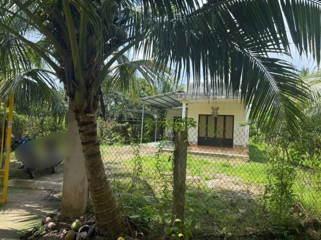 Bán đất Tân Thạch 1000m² - 750 triệu - Ảnh thu nhỏ 2