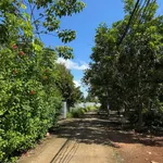 Bán đất 6000m2 Xuân Định, Đồng Nai, sổ hồng riêng - Ảnh thu nhỏ 4
