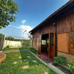 Bán đất vườn 1000m2 sổ riêng Bàu Xéo, Giang Điền - Ảnh thu nhỏ 4