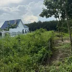 Bán 2350m² đất Chánh Phú Hòa Bến Cát 2.6 tỷ - Ảnh thu nhỏ 4