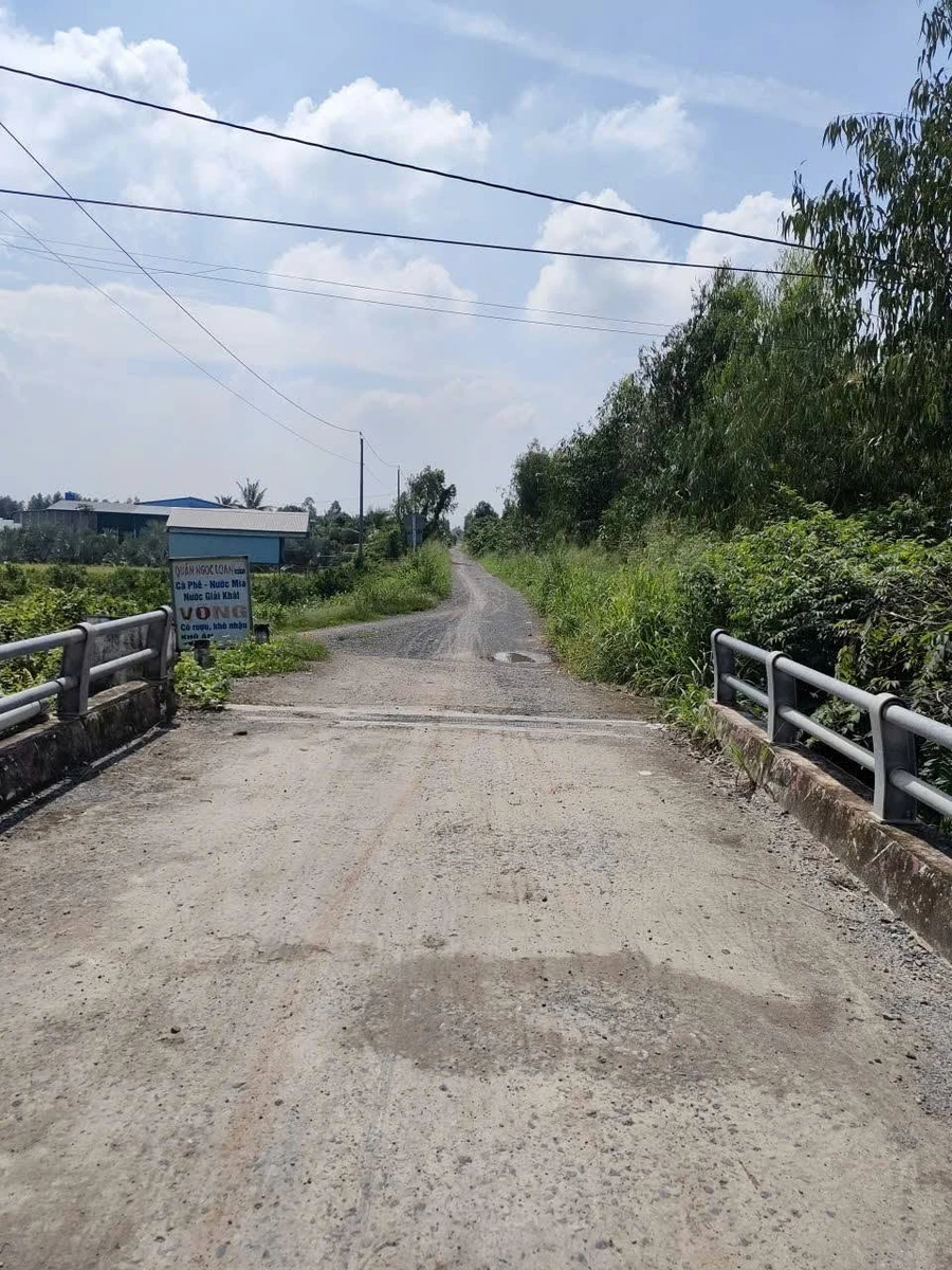 Bán đất vườn 1000m2 hai mặt tiền Đức Huệ, Tây Ninh - Ảnh thu nhỏ 5