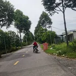 Bán đất thổ cư 100m² đường 10m, xã Thạnh Lợi, Tây Ninh, giá 1,5 tỷ - Ảnh thu nhỏ 1