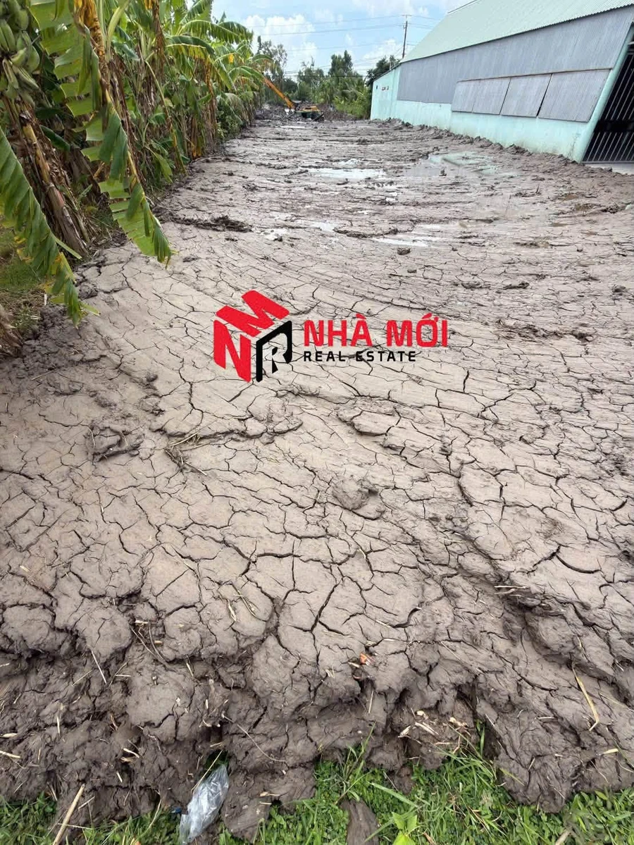 Bán đất mặt tiền QL1A Cà Mau 1452m2, 3 tỷ - Ảnh thu nhỏ 3
