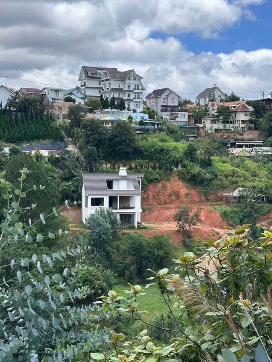 Bán quỹ đất 8000m2 Khe Sanh Đà Lạt 38 tỷ - Ảnh thu nhỏ 2