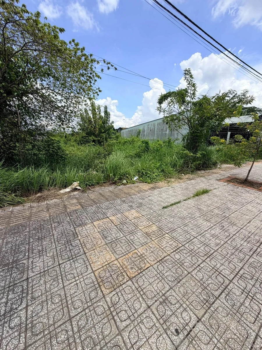 Đất nền KCN Giao Long 120m² chốt 1 tỷ 280 triệu - Ảnh thu nhỏ 3