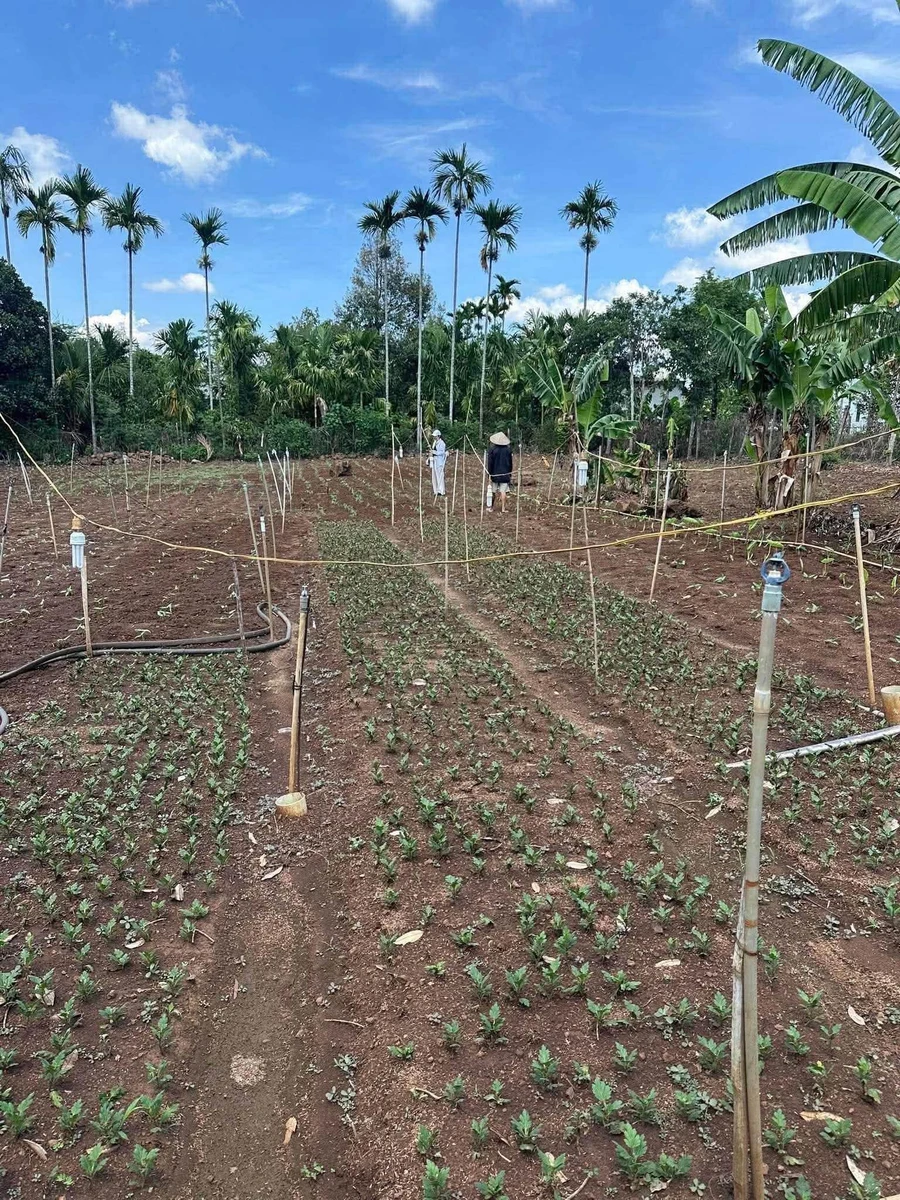 Bán đất nền 120m2 trung tâm thị trấn Eabok, Đắk Lắk, 889 triệu - Ảnh thu nhỏ 2