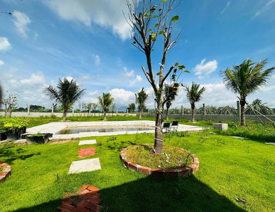 Bán nhà vườn 1.800m² gần Phan Thiết 2,2 tỷ - Ảnh thu nhỏ 2