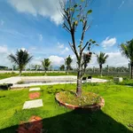 Bán nhà vườn 1.800m² gần Phan Thiết 2,2 tỷ - Ảnh thu nhỏ 2