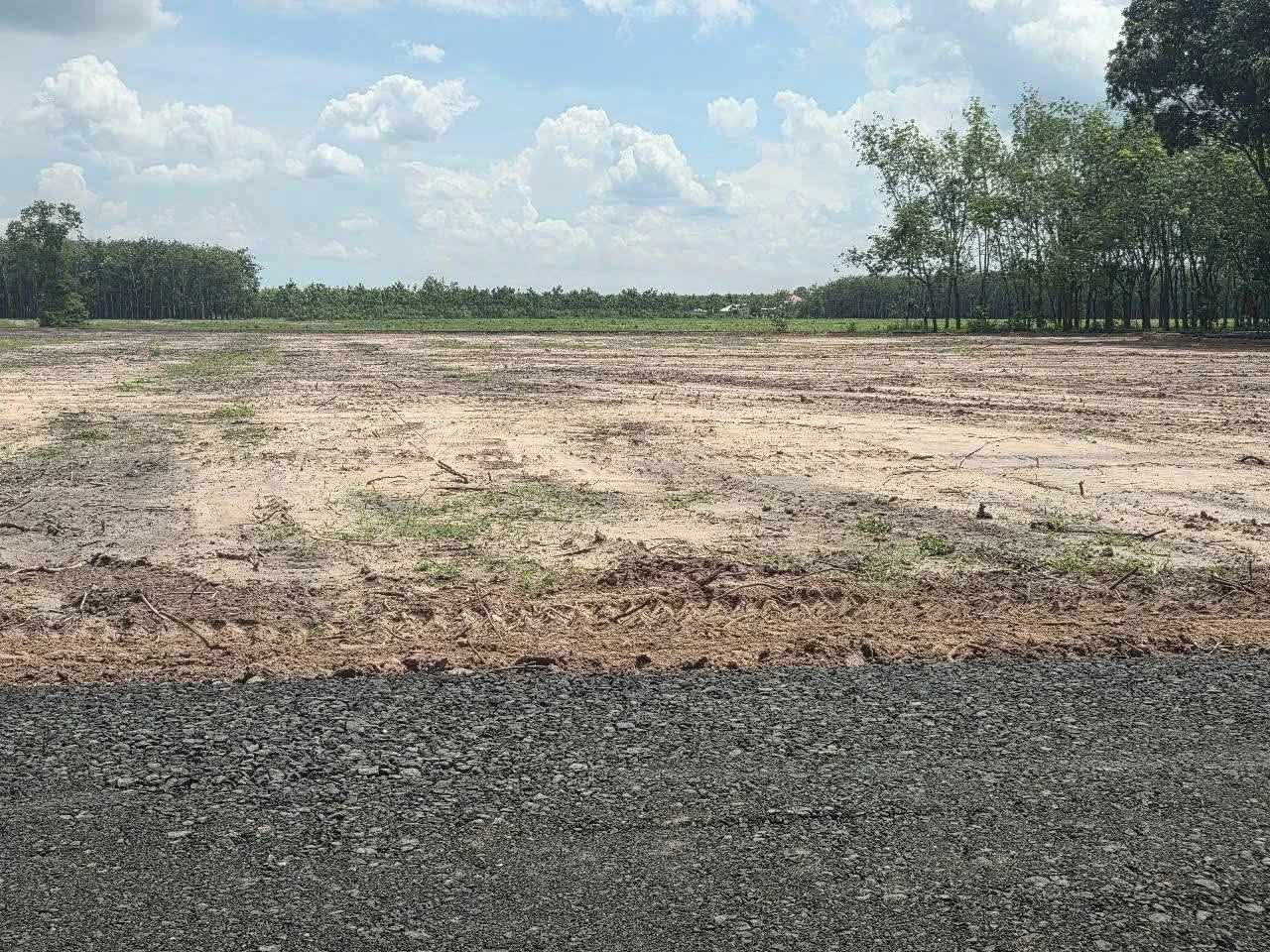 Bán đất 20x50m Giồng Cà, Tây Ninh, 259 triệu - Ảnh 1