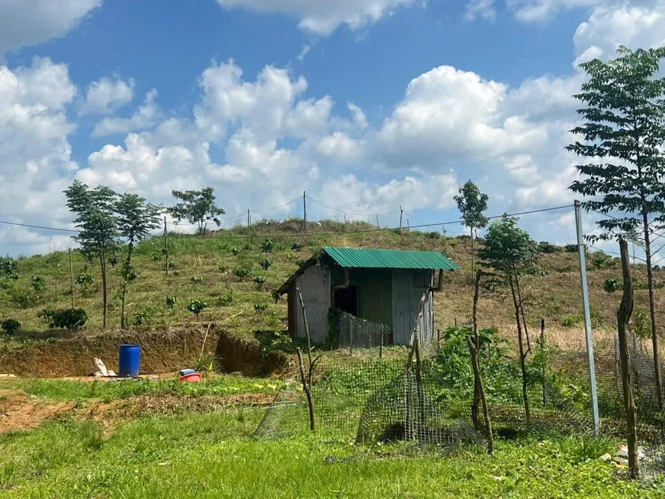 Bán đất 2 ha mặt tiền 150m có nhà và hồ tại Quảng Tín, Đắk Nông - Ảnh thu nhỏ 2