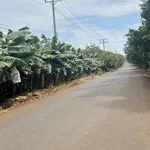 Bán đất 8 sào Bàu Lâm Xuyên Mộc 7 tỷ - Ảnh thu nhỏ 1