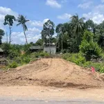 Bán đất thổ mặt tiền Lê Văn Tưởng, 176m², Tân An, Long An - Ảnh thu nhỏ 2
