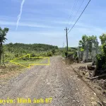 8 sào gỗ tếch tại huyện Cư Mgar, Đắk Lắk - Ảnh thu nhỏ 23