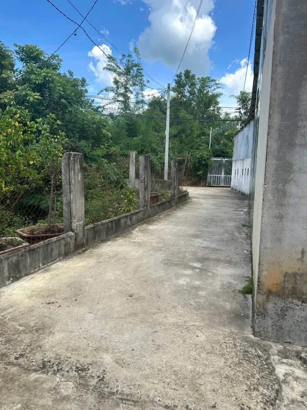 Bán đất 6x54,8m (60m2 thổ cư) giá 1,2 tỷ tại Xã Ea Kao, Buôn Ma Thuột