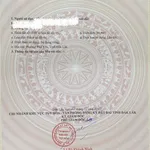 Bán lô đất đẹp gần Sacombank Phú Lâm - lô góc 650tr - Ảnh thu nhỏ 4