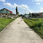 Hẻm 278 Châu Thị Kim, P.7, TP.Tân An, Long An, diện tích 126.7m² - Ảnh thu nhỏ 3