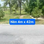 Bán 2 nền + nhà đường Gò Tre, Đồng Tháp, 336m² - Ảnh thu nhỏ 2