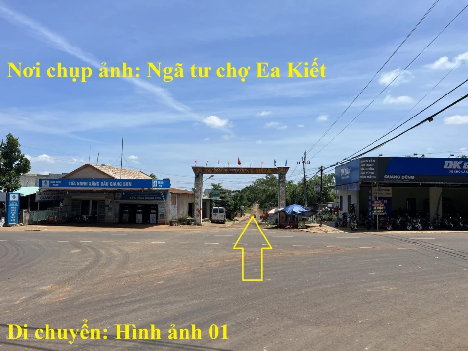 8 sào gỗ tếch tại huyện Cư Mgar, Đắk Lắk - Ảnh thu nhỏ 3