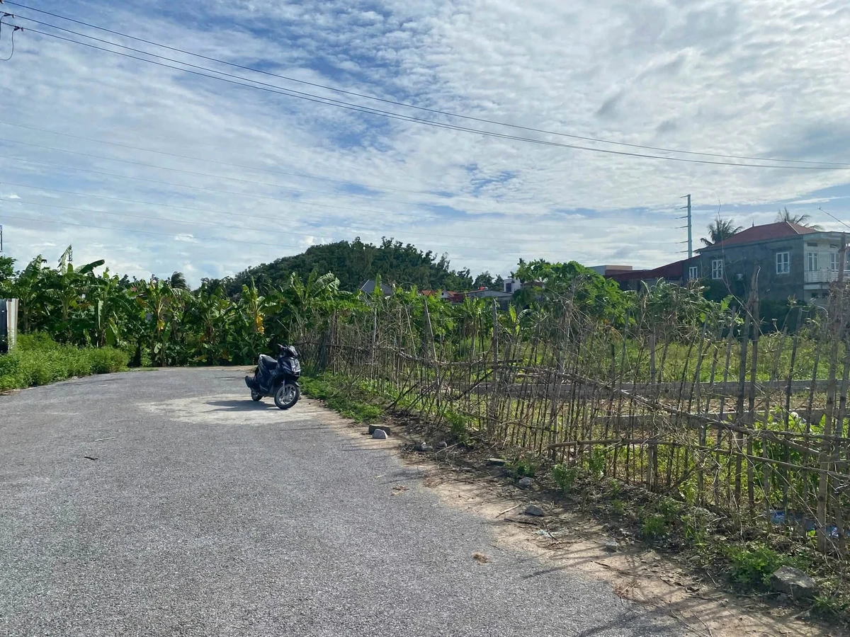 Bán đất mặt đường 97,75m2 Kiến Thuỵ Hải Phòng - Ảnh thu nhỏ 2