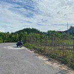 Bán đất mặt đường 97,75m2 Kiến Thuỵ Hải Phòng - Ảnh thu nhỏ 2