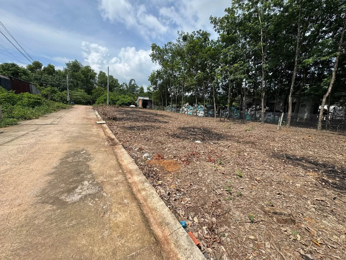 Bán 6 lô đất Mỹ Phước 3 mỗi lô 82m² giá 1,1 tỷ - Ảnh 1